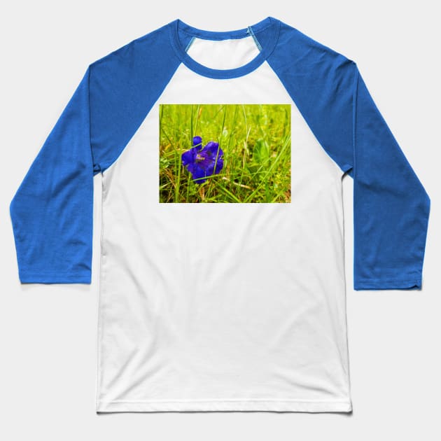 Gentiana acaulis Baseball T-Shirt by psychoshadow